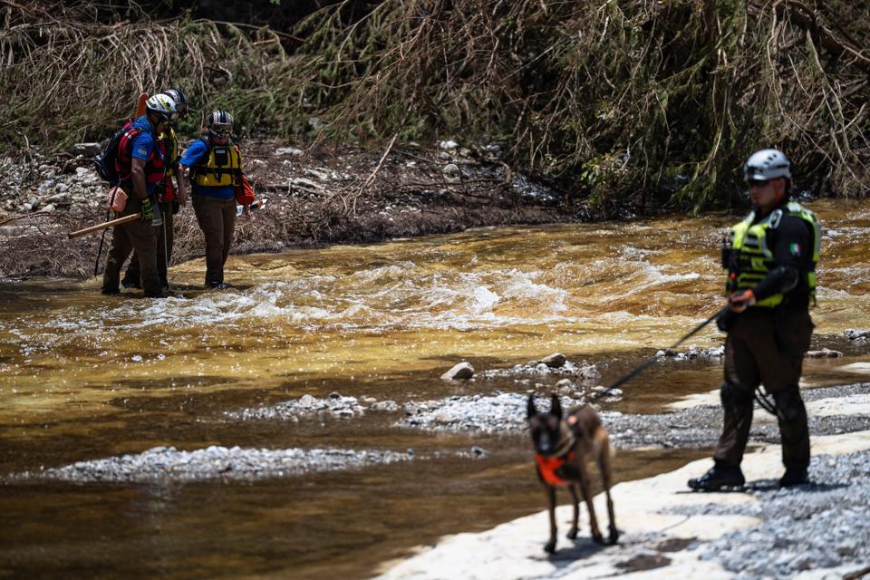 Mengapa Air Harus Dianggap Aset Strategis dalam Ekonomi Global