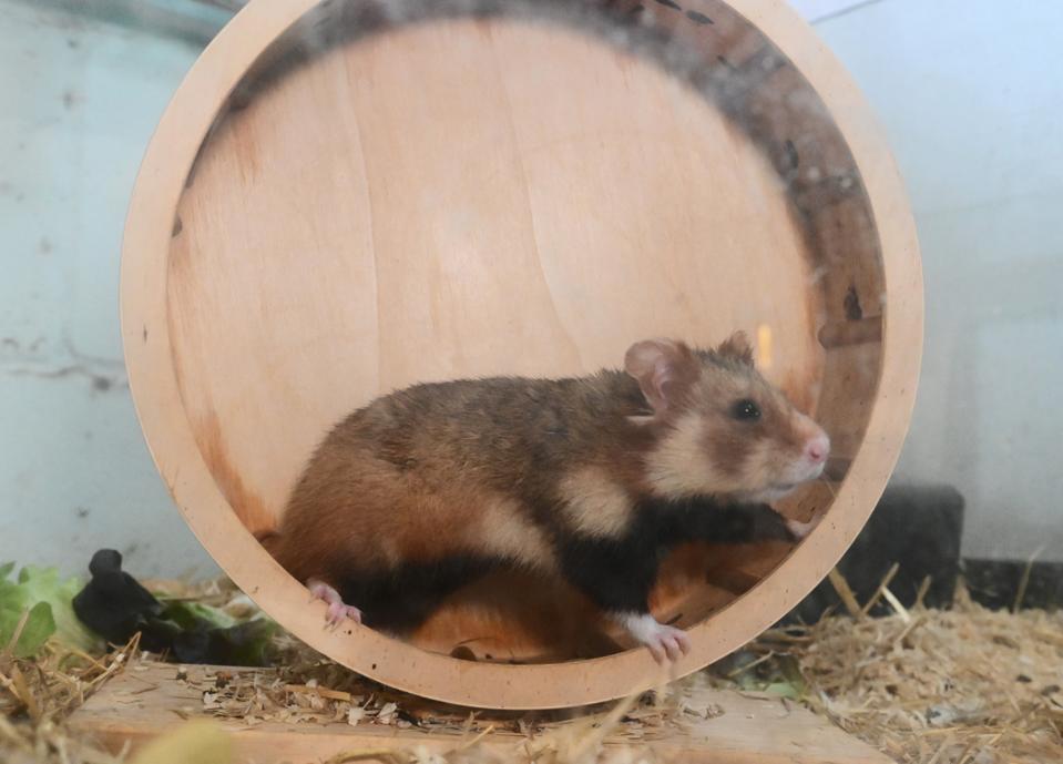 Menghindari Jebakan Efisiensi AI: Menjaga Kreativitas dan Kecerdasan Manusia