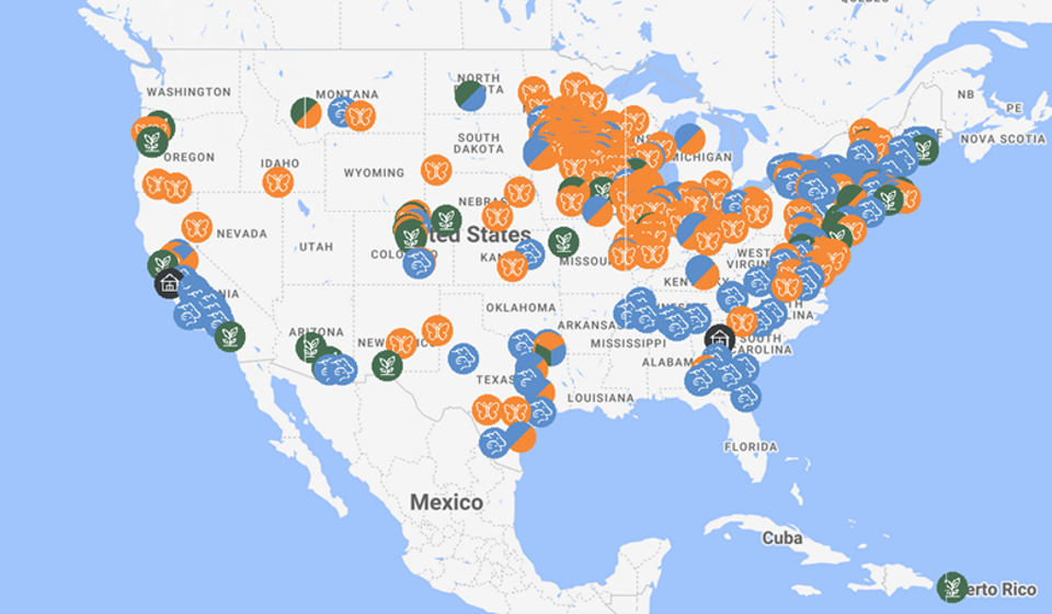 Agrivoltaics: Cara Pintar Menggabungkan Pertanian dan Panel Surya untuk Masa Depan