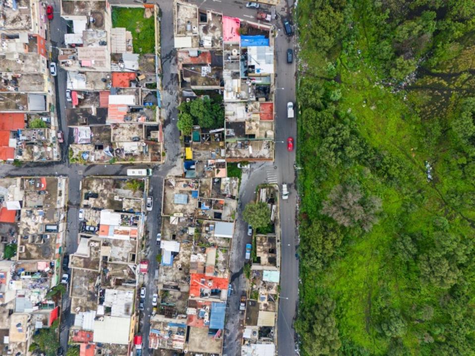 Ekspansi Kota Perbukitan Ancam Habitat dan Ribuan Spesies Terancam Punah