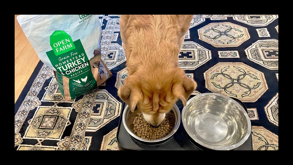 best-dog-food-delivery-services-2025 (1)