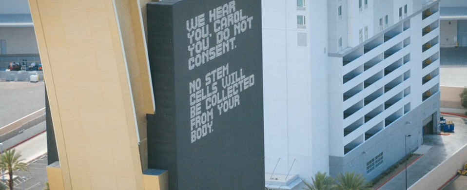 Terungkap! Bahaya Stem Cell di Luar Tubuh Carol di Musim 1 Pluribus