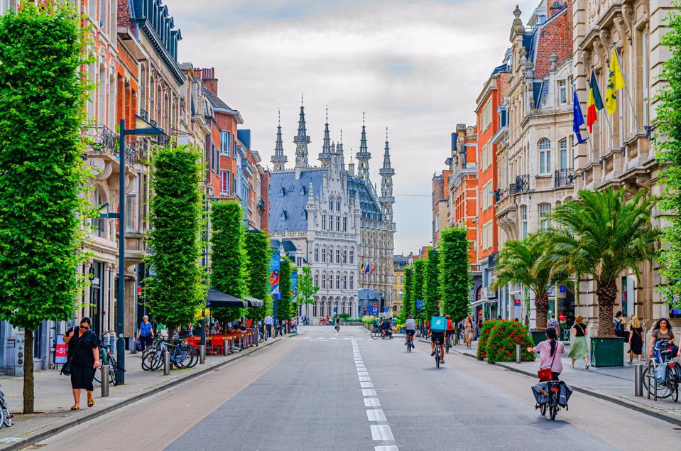 Avenue with green trees on sidewalk, people on bikes