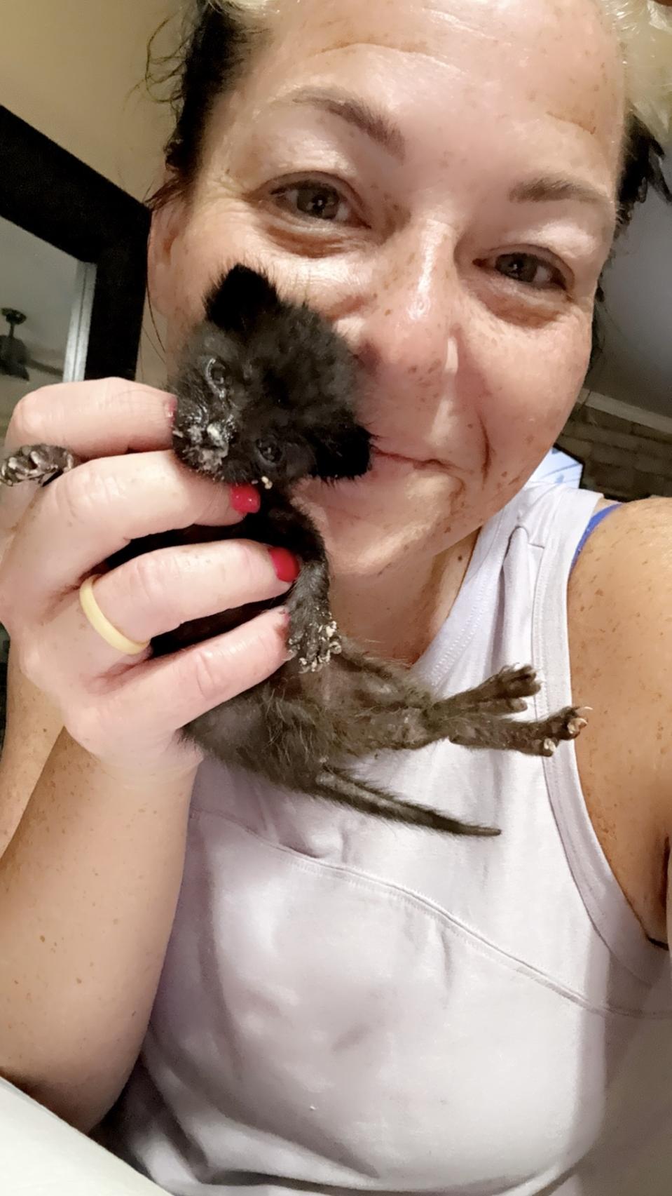 Karena Brucey: Perjuangan dan Harapan Menyelamatkan Anak Kucing Neonatal