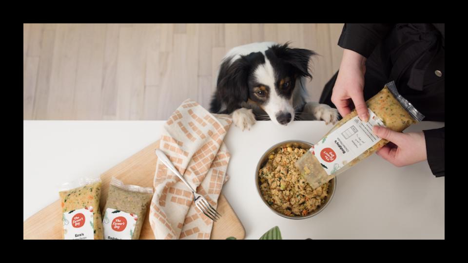 d/d dog food hills BUY Senior Dog Food | Healthy Dog Food