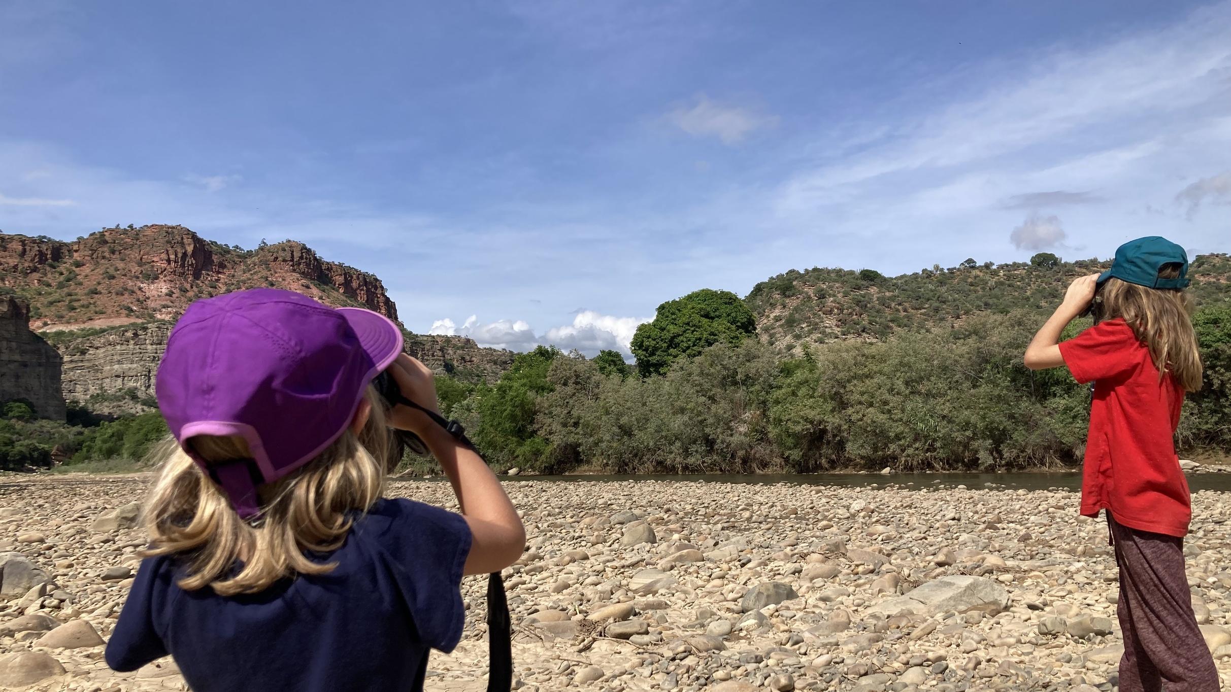 Konservasi Macaw Merah Bolivia: Menyelamatkan Burung Langka Lewat Ekowisata