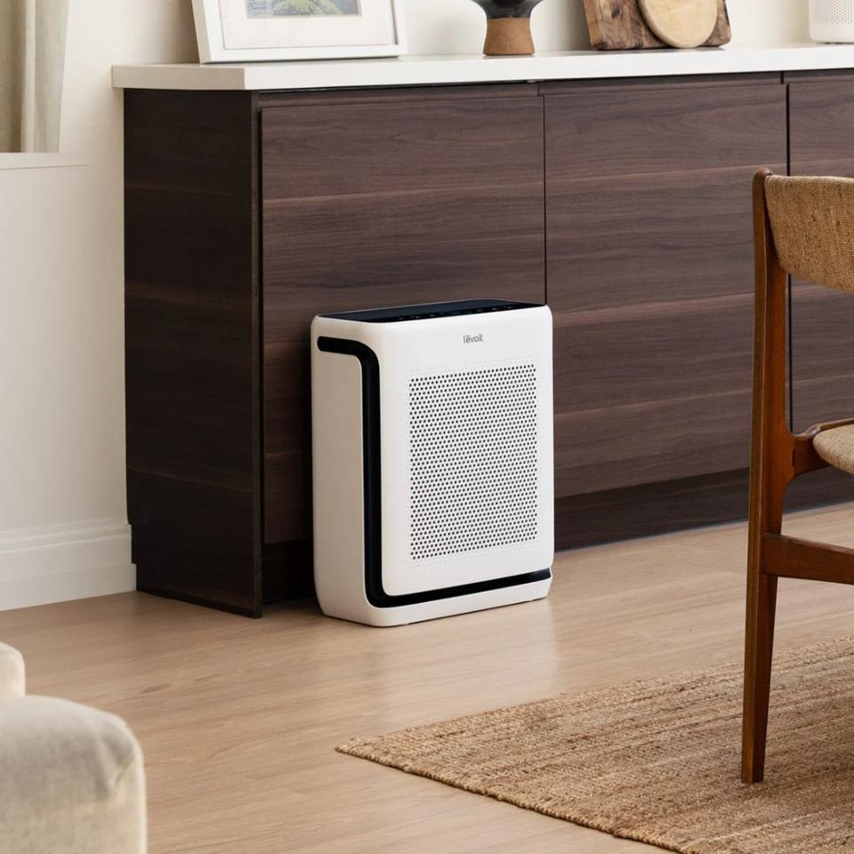 Best Air Purifiers For Mold 2026 - Forbes Vetted