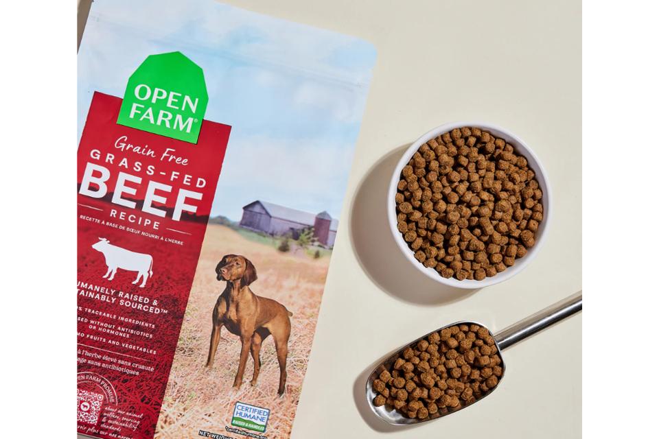 What Ingredients to Avoid in Dry Dog Food for a Healthier Pet