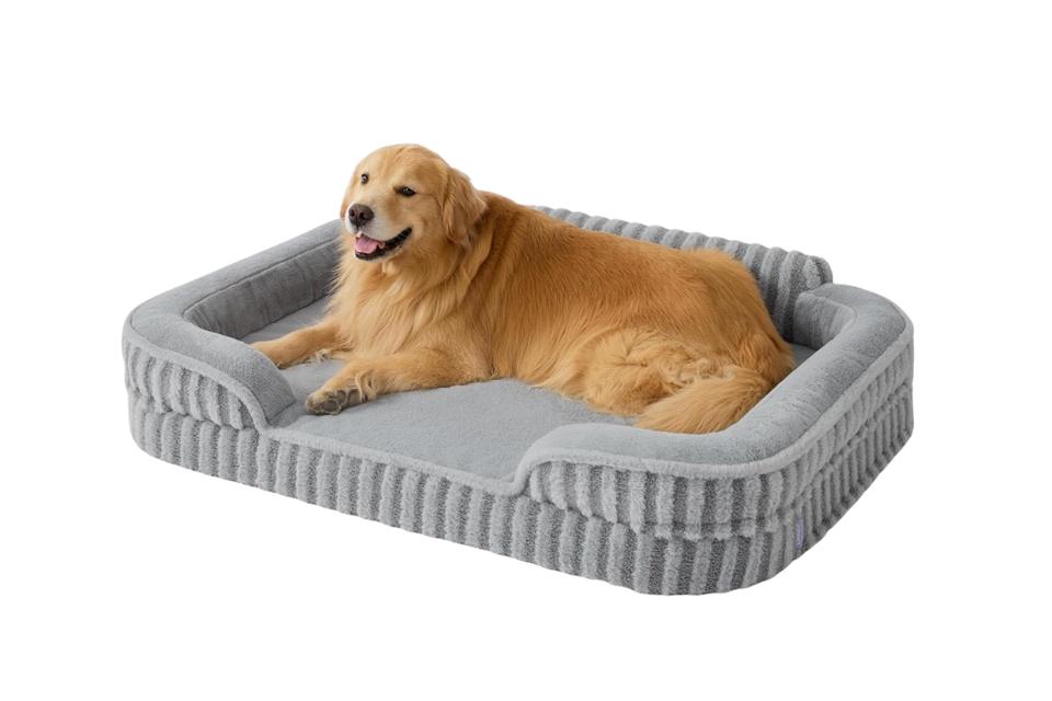 Orthopedic Dog Beds for Extra Large Dogs