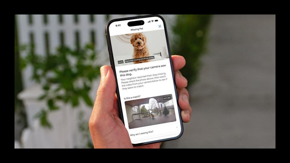 A photo of a dog on a phone held in a hand on an illustrative black background