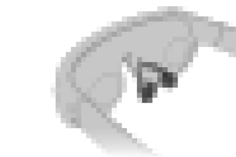 Bocoran Meta Quest 4: Headset VR Lebih Ringan Tapi Masa Depannya Tak Jelas