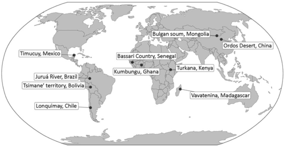 Krisis Burung Besar: Ukuran Burung di Dunia Turun 72% dalam 80 Tahun