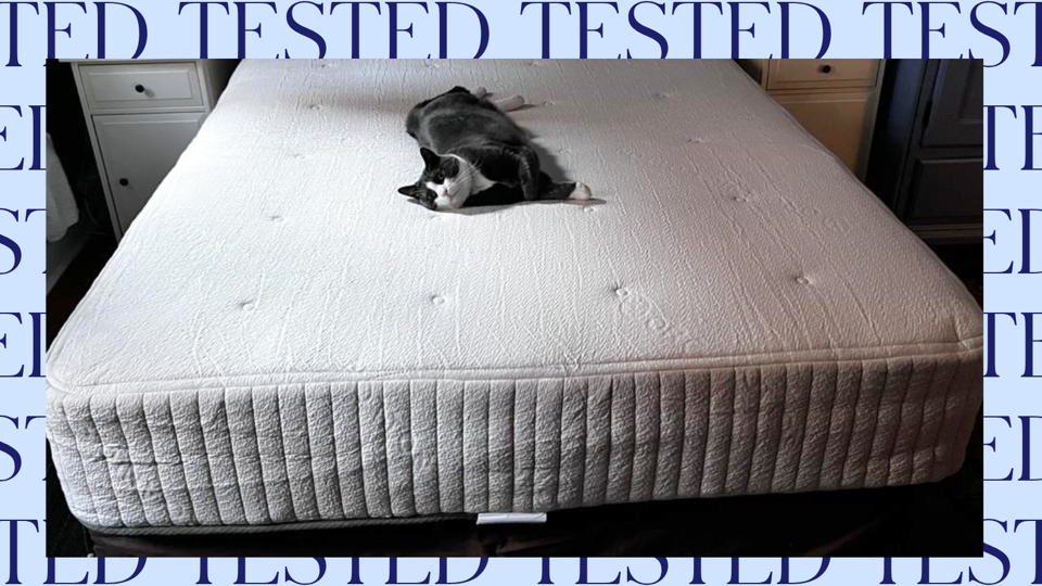 An Avocado Eco Organic Mattress with a black cat on top, original photo
