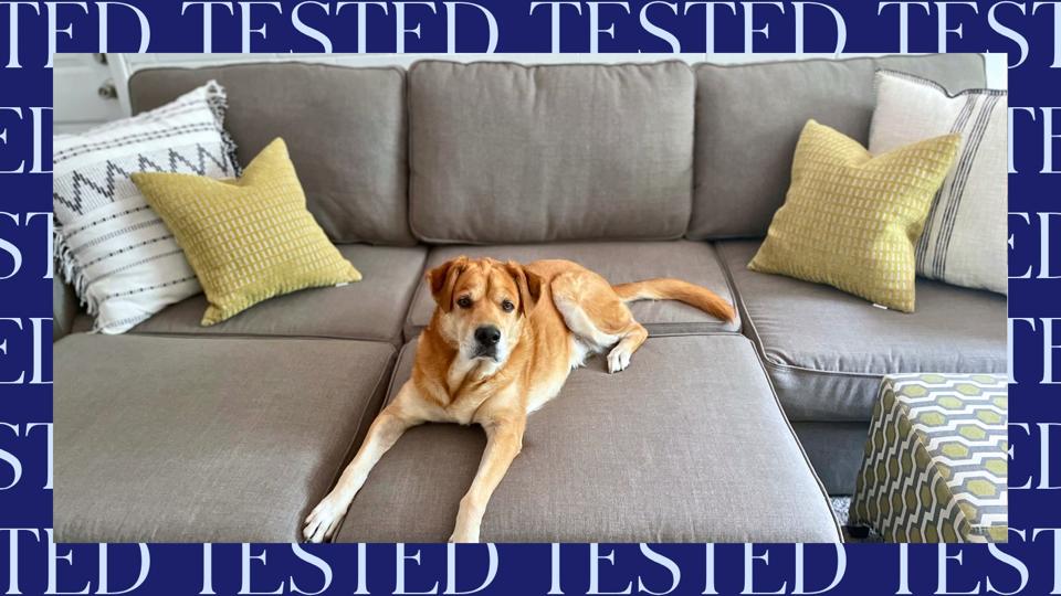 Graphic Most Comfortable Couches 2026: 7 Sofas Tested For Long-Term Lounging