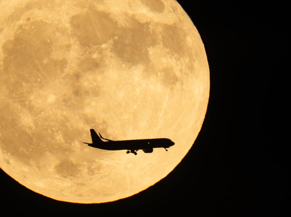 Fenomena Langka Flower Moon dan Blue Moon Siap Menghiasi Langit Mei 2026