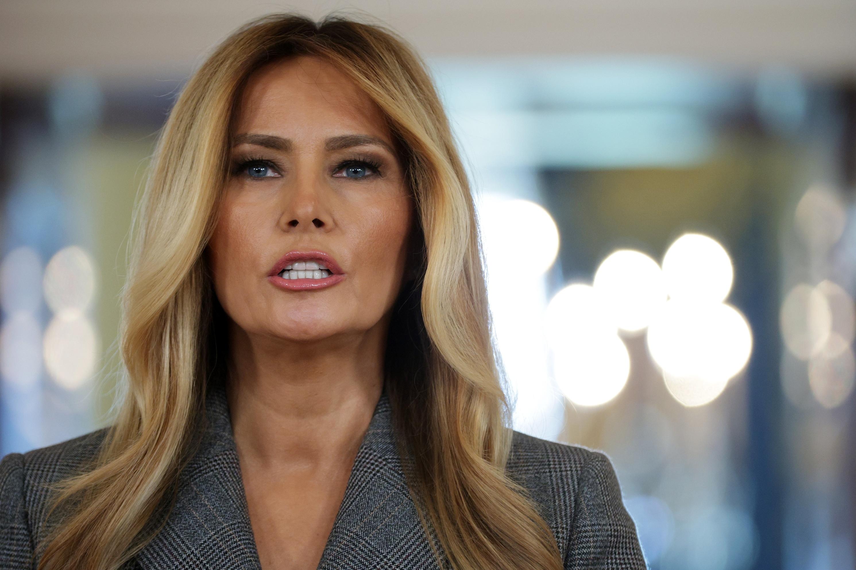 Melania Trump's Statement On Epstein