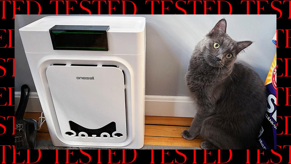 Best Air Purifiers For Pets 2026 | Tested - Forbes Vetted