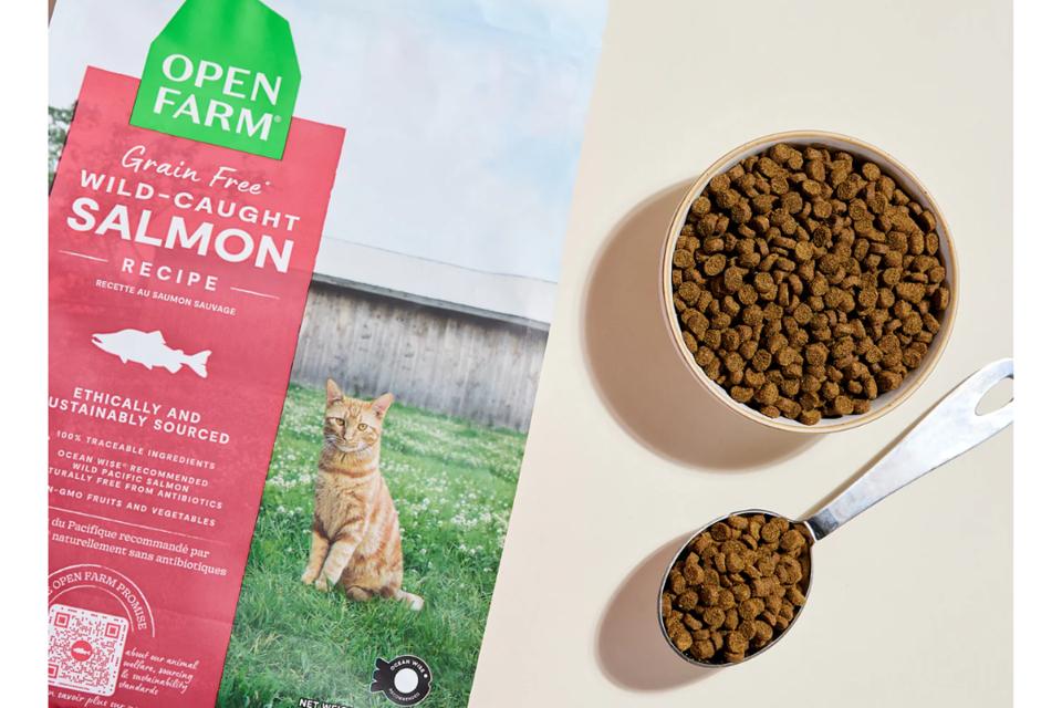 cat food sensitive stomach wet Royal Canin Digestive Care Adult Pouch Cat Food main image 1