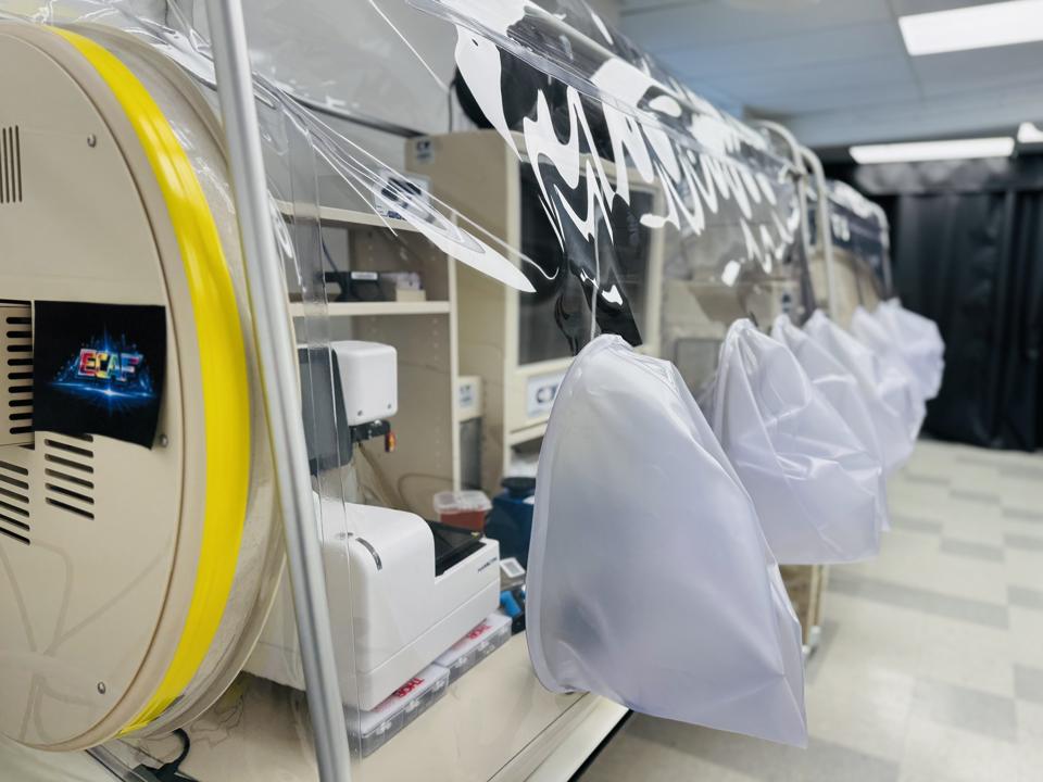Anaerobic chamber where Kanvas strains are characterized and banked.