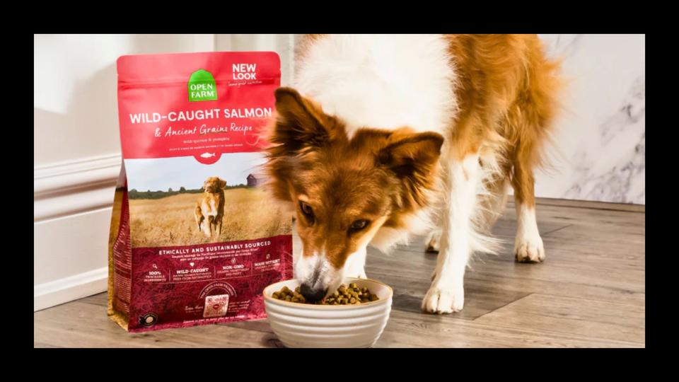 Best Dog Foods For Sensitive Stomachs 2026 - Forbes Vetted Best Dog Foods For Sensitive Stomachs 2026 - Forbes Vetted