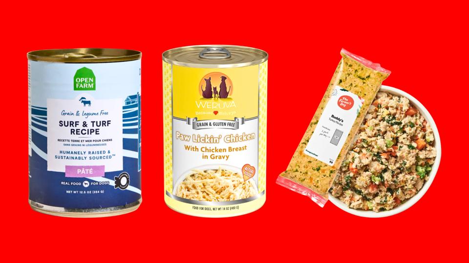 Best Wet Dog Foods 2026 - Forbes Vetted