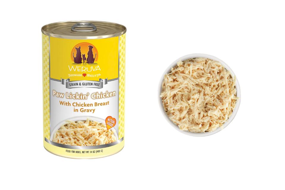 Best Wet Dog Foods 2026 - Forbes Vetted