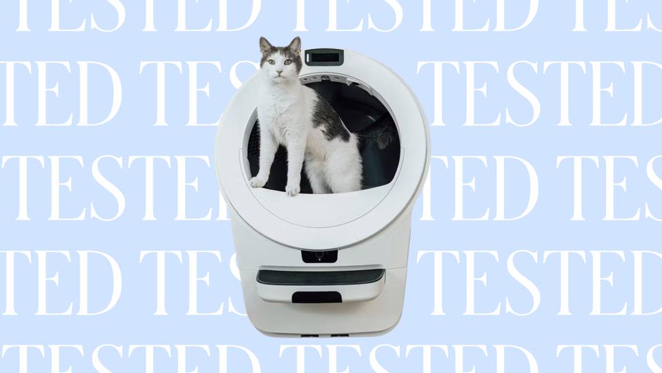 Graphic The 4 Best Automatic Litter Boxes To Win Over Picky Cats