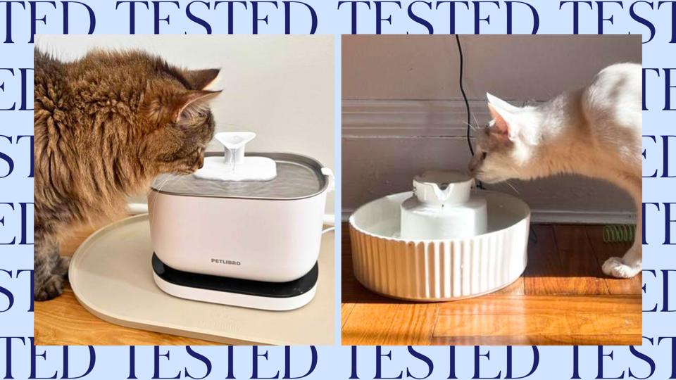Best Cat Water Fountains 2026 - Forbes Vetted