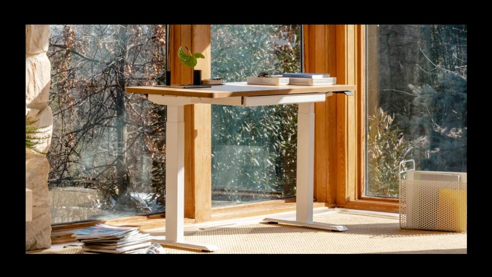 Branch Duo Standing Desk in a sunny room with tall windows overlooking trees.