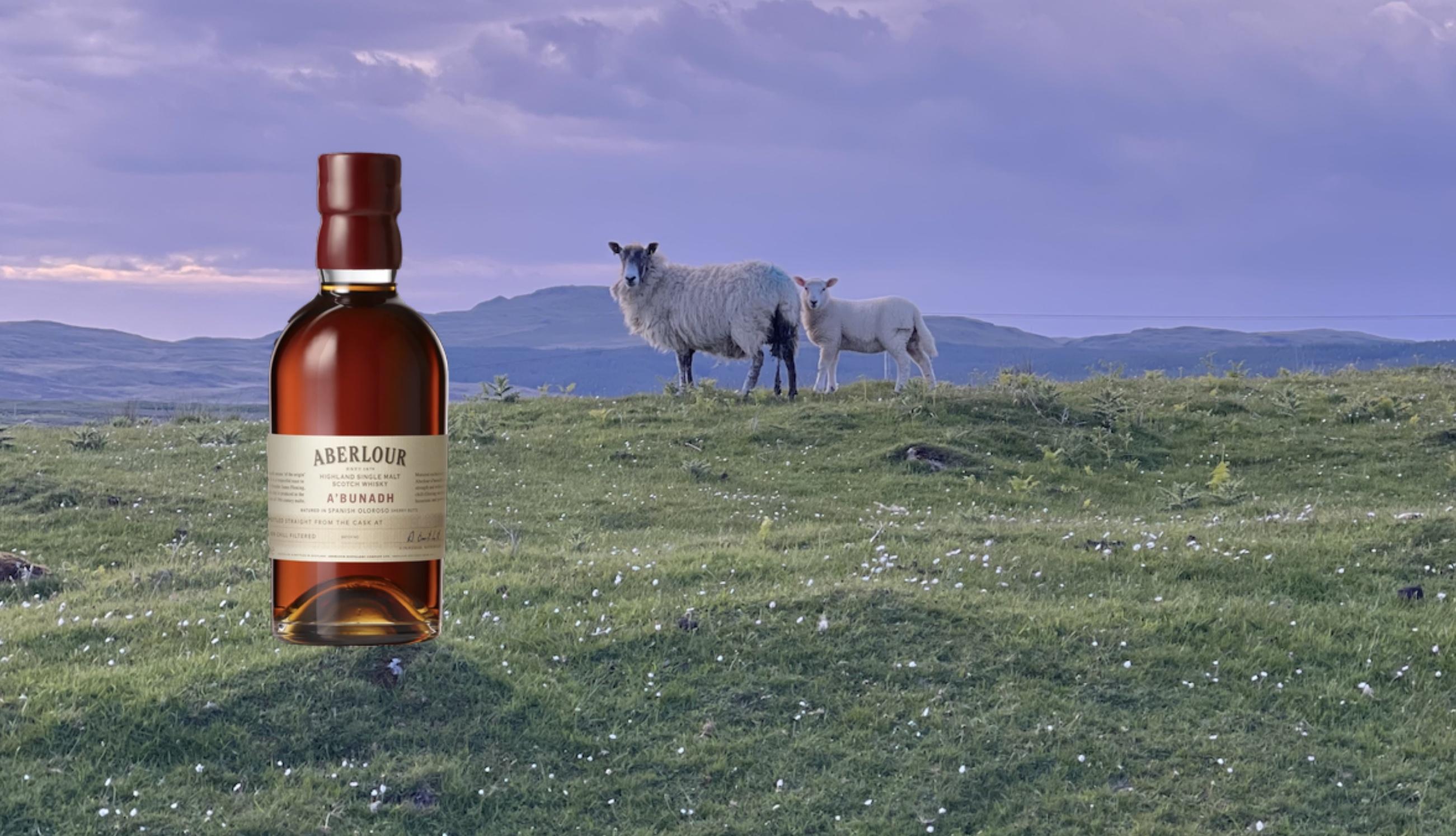 The World’s Best Scotch Whisky—According To The 2026 ASCOT Awards