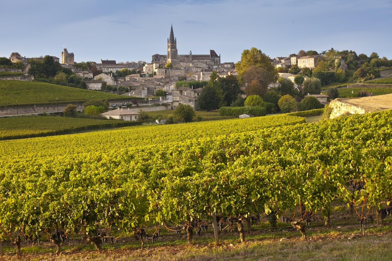 How Bordeaux Is Adapting Fine Wine For A Hotter Future