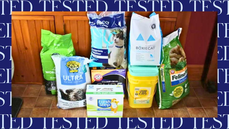 Graphic The Best Cat Litters Of 2026, Tested By Felines In Our Own Homes
