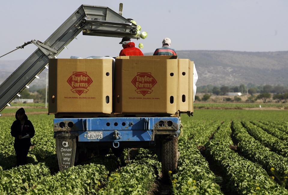 Meet The Tycoon Whose Taylor Farms Has Been Linked To “Explosive Diarrhea” Parasite Outbreak