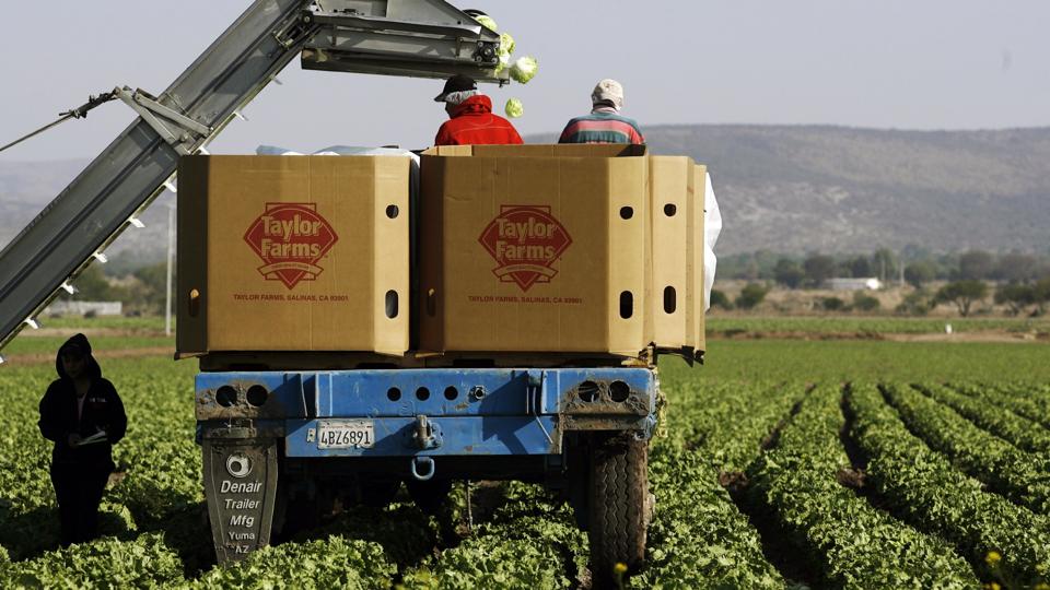 Meet The Tycoon Whose Taylor Farms Has Been Linked To “Explosive Diarrhea” Parasite Outbreak