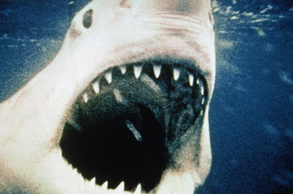 10 Movies To Watch This Shark Week