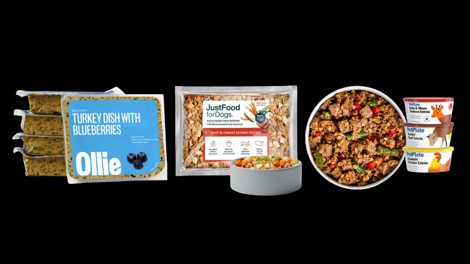 best-fresh-dog-food-2026