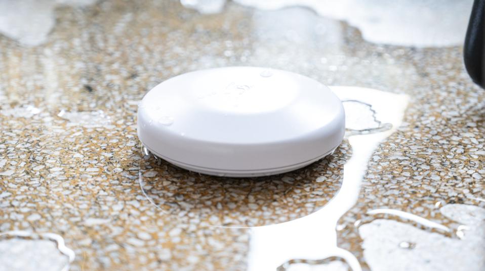 Shelly Launches Flood S Gen4: A Budget Matter & Zigbee Leak Sensor