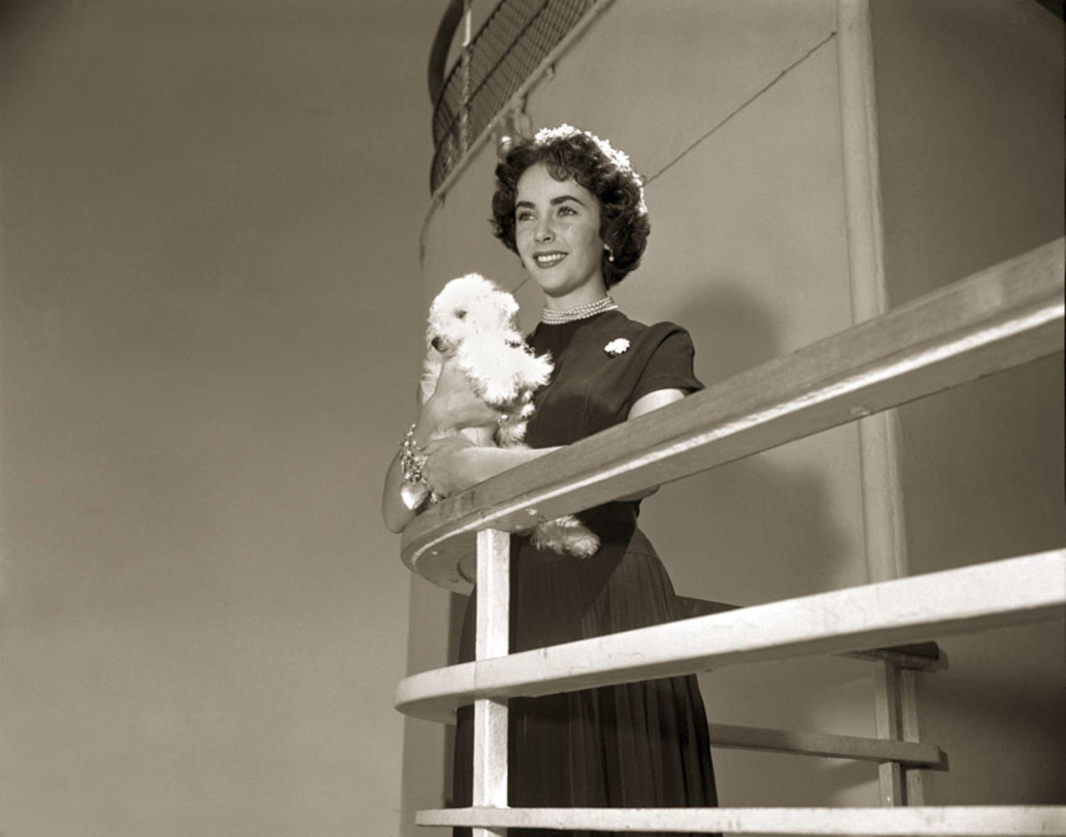 Cunard Pampers Pets On Queen Mary 2 Transatlantic Sailings