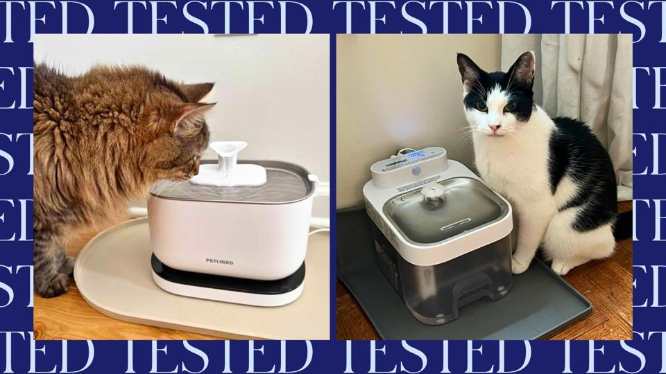 The Best Cat Water Fountains We Tested: Cordless, Smart And Filterless Picks