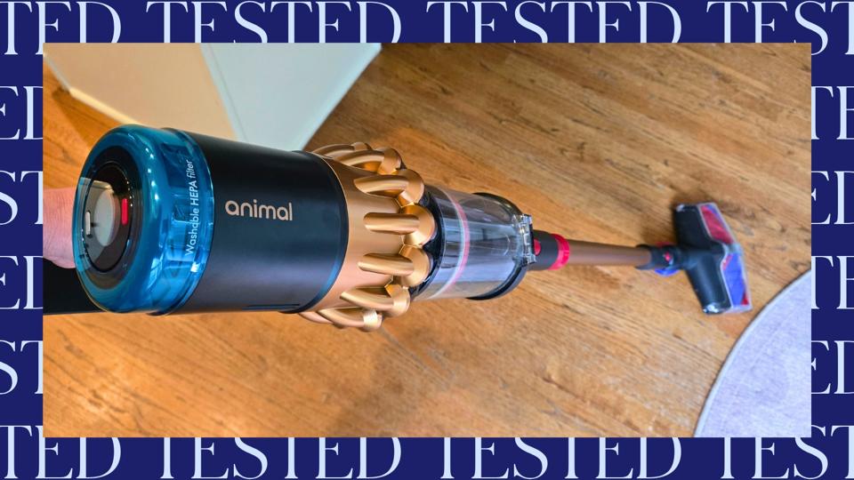 Dyson V16 Piston Animal Review - Forbes Vetted