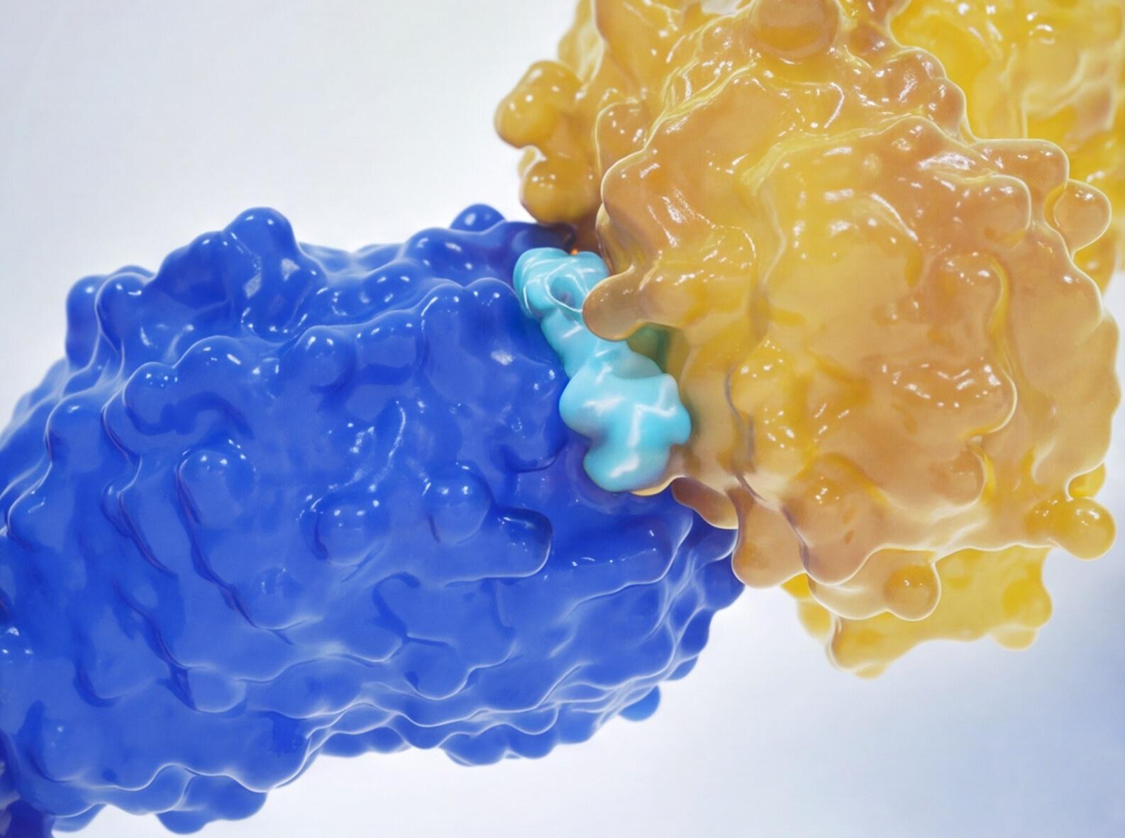 Molecular Glue And Cancer Therapy: A New Approach To Lymphoma Treatment