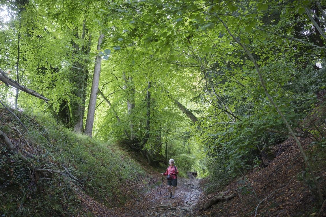Why Spending Time Outdoors Is Good For Your Physical And Mental Health