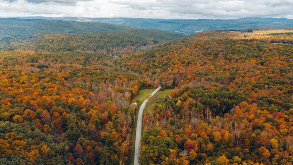 The Best Fall Foliage Destinations In The U.S.
