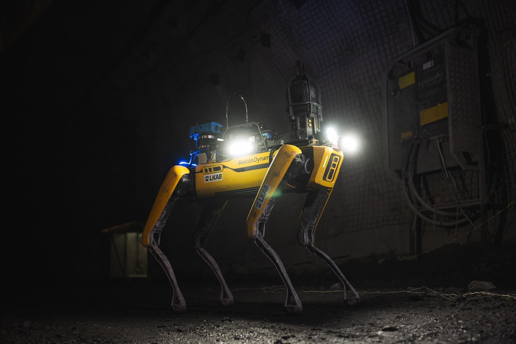Robotic Dogs Are Taking Different Forms As Their Mission Roles Expand