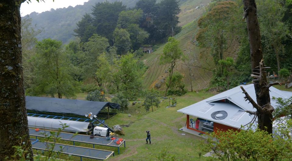 How A Bay Area Coffee Company Is Building A Climate-Resilient Business