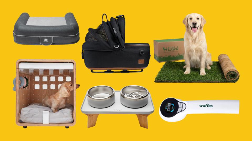 The Best Luxury Dog Products Of 2026: 13 Innovations Worth The Investment