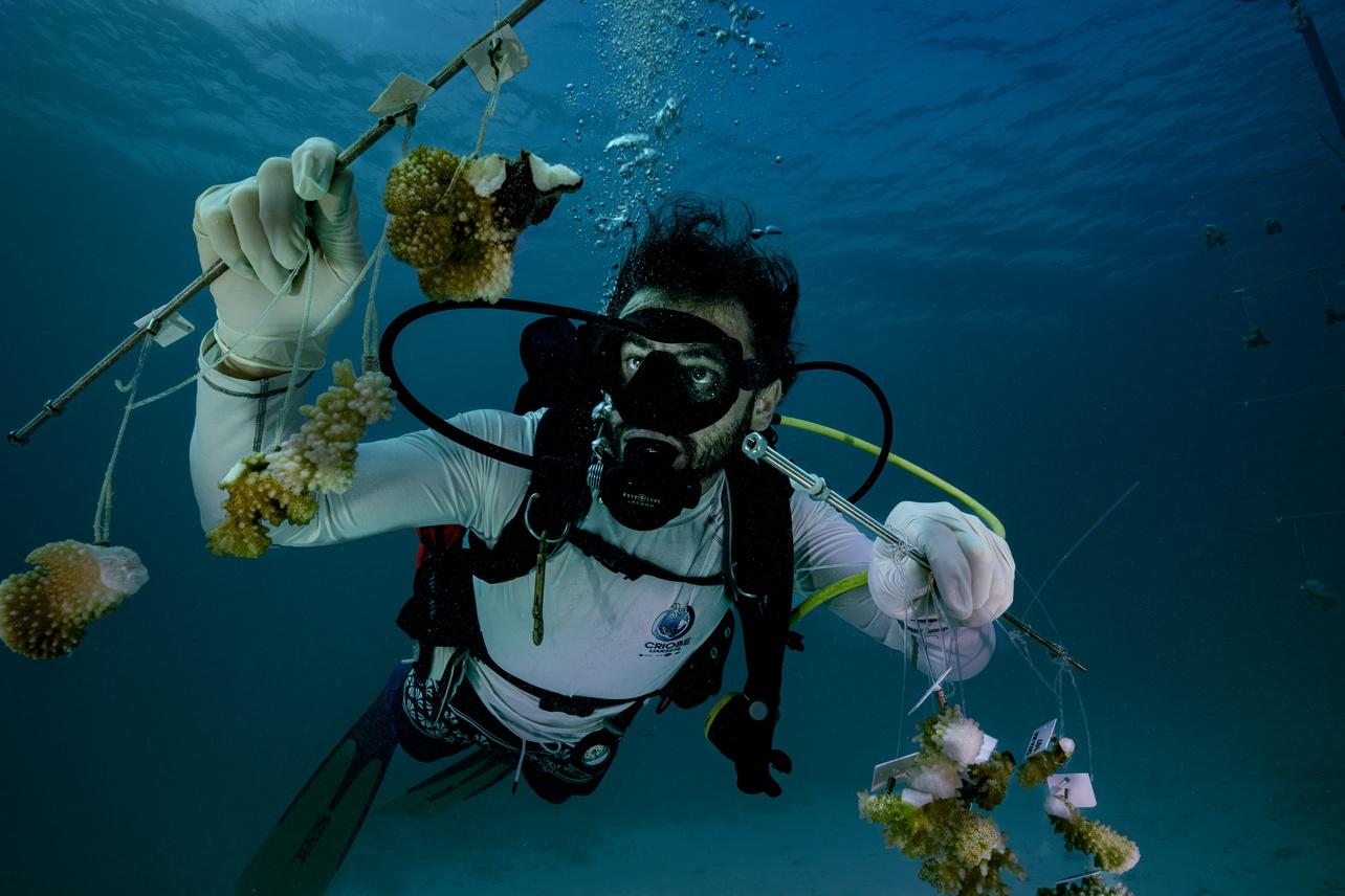 Why Citizen Science Is On The Rise