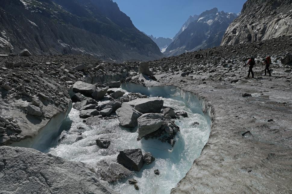 Positive Tipping Points Can Halt And Reverse Nature Loss, Says WWF