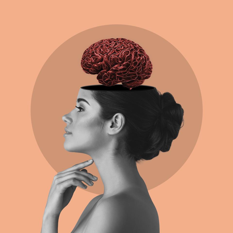 The ‘Catch-And-Release’ Rule Of Highly Intelligent Minds, By A Psychologist