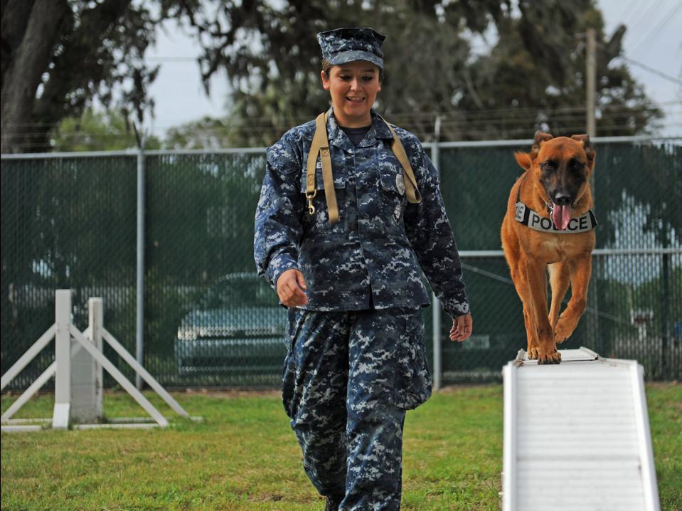 Forbes Daily: This Startup Is Aiming To Clone Military Dogs